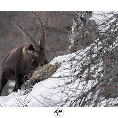 Appartamento Lo Bou วัลซาวาเร็งเค ภายนอก รูปภาพ