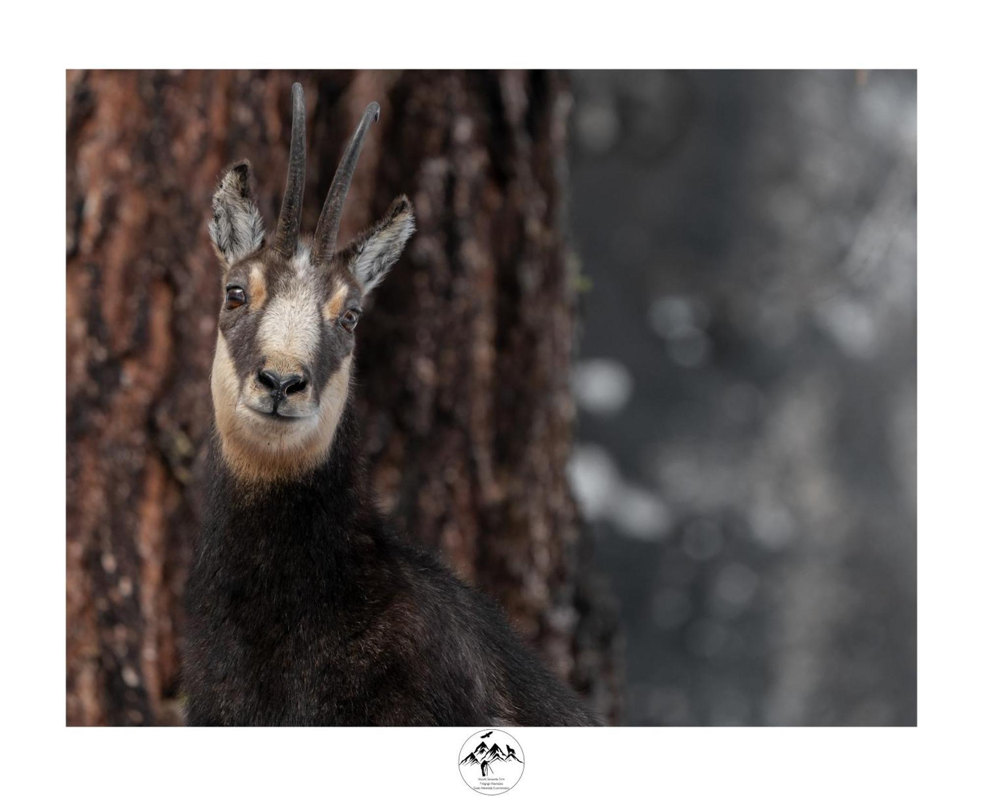 Appartamento Lo Bou วัลซาวาเร็งเค ภายนอก รูปภาพ