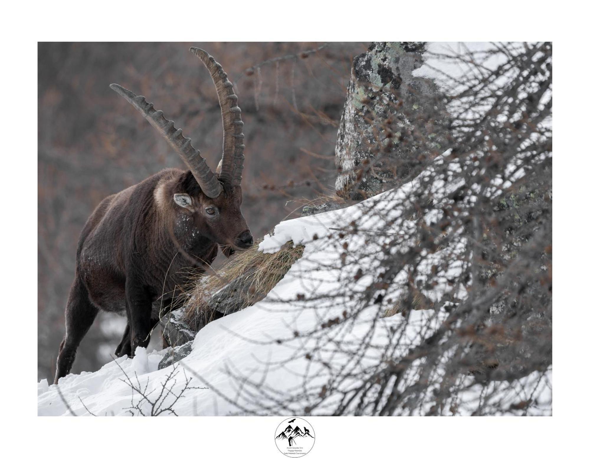 Appartamento Lo Bou วัลซาวาเร็งเค ภายนอก รูปภาพ